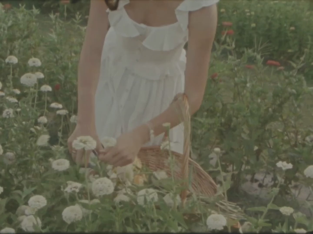 Video of Wedding bouquet transformed into framed pressed floral art